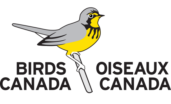 Birds Canada Logo showing grey text 'Birds Canada' and 'Oiseaux Canada' on either side of a grey and yellow bird perched on a branch