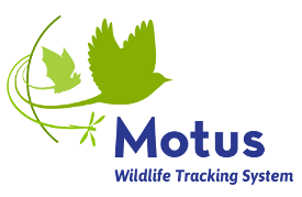Motus Logo showing blue text 'Motus Wildlife Tracking System' to the right of pale green images of a bat, bird and dragonfly at the ends of green curved lines